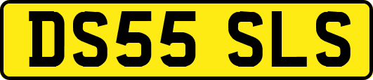 DS55SLS