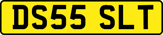 DS55SLT