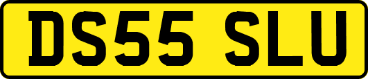 DS55SLU