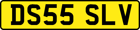 DS55SLV