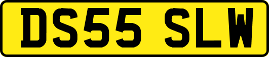 DS55SLW