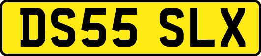 DS55SLX