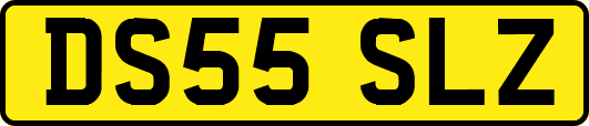 DS55SLZ