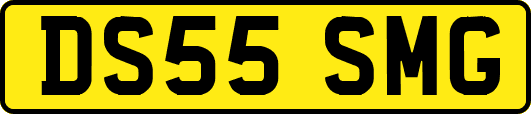 DS55SMG