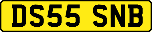 DS55SNB