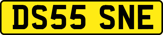 DS55SNE