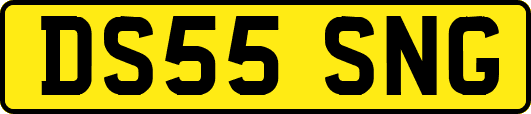 DS55SNG
