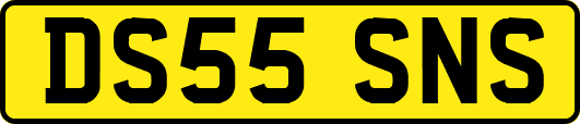 DS55SNS