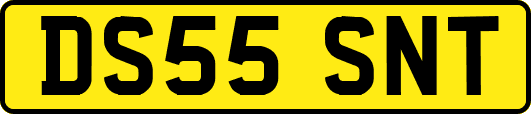 DS55SNT