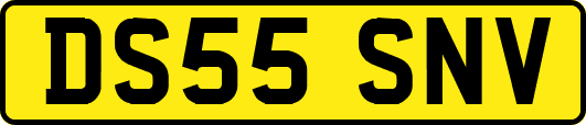 DS55SNV