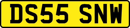 DS55SNW
