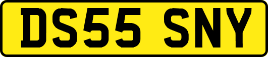 DS55SNY