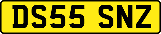 DS55SNZ