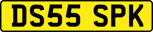 DS55SPK