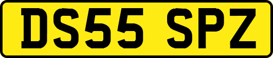 DS55SPZ