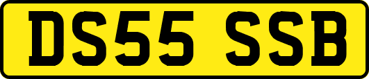 DS55SSB