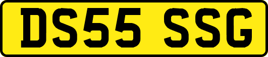 DS55SSG