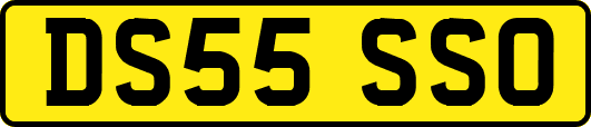 DS55SSO