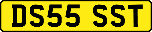 DS55SST