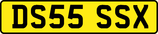 DS55SSX