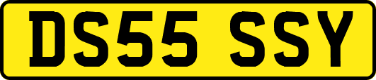 DS55SSY