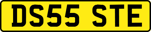 DS55STE