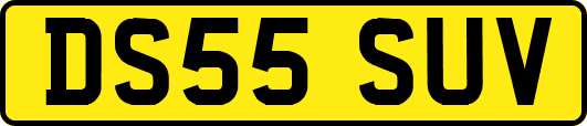 DS55SUV