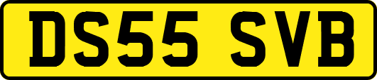 DS55SVB