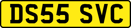 DS55SVC