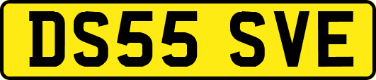 DS55SVE