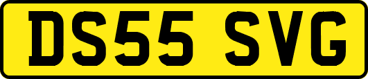 DS55SVG