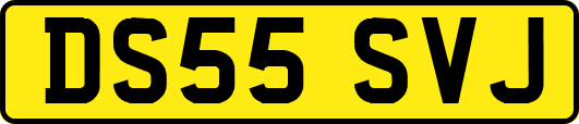 DS55SVJ