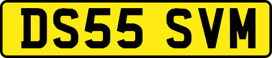 DS55SVM
