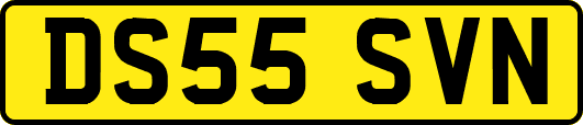 DS55SVN