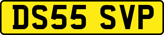 DS55SVP