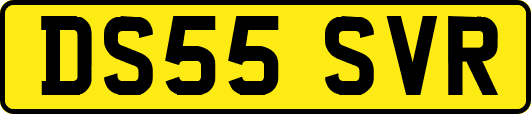 DS55SVR