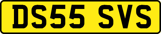 DS55SVS
