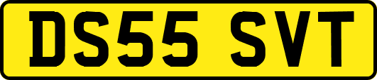 DS55SVT