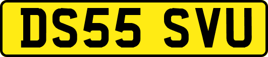 DS55SVU