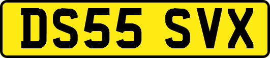 DS55SVX