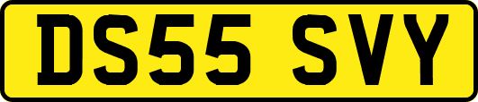 DS55SVY