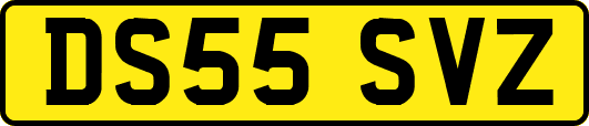DS55SVZ