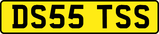 DS55TSS