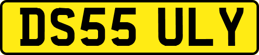 DS55ULY
