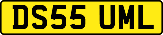 DS55UML