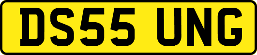 DS55UNG