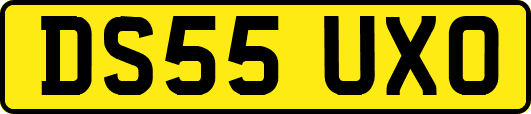 DS55UXO