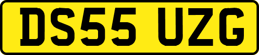 DS55UZG