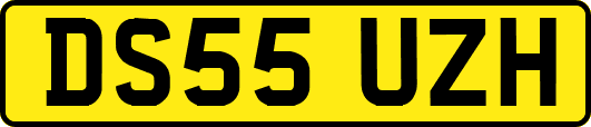 DS55UZH