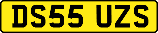 DS55UZS
